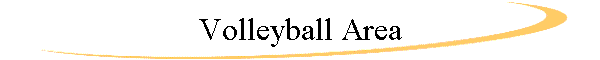 Volleyball Area